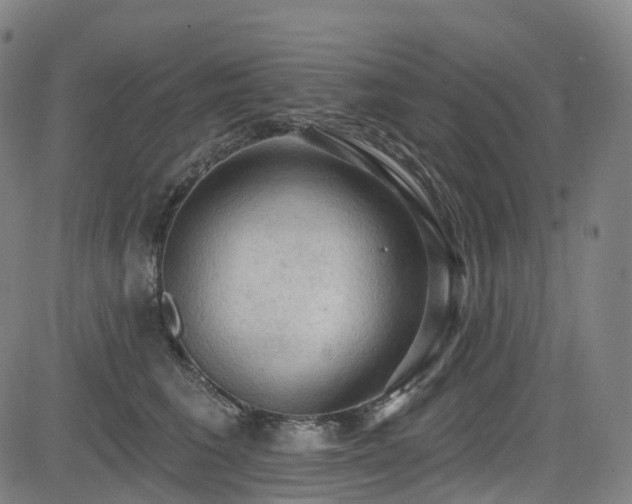 X0000085260613200703091325