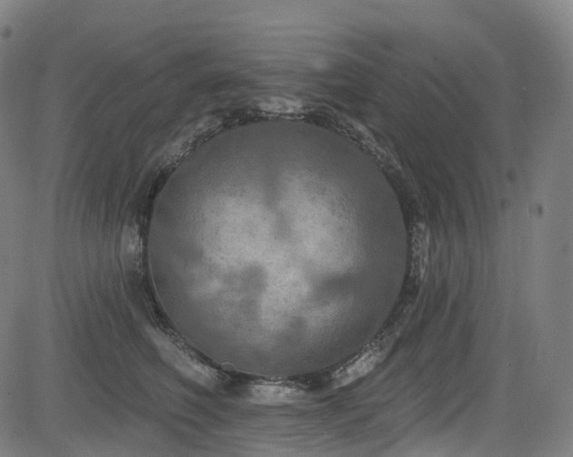 X0000085260614200703091325