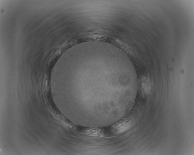 X0000085260615200703091325