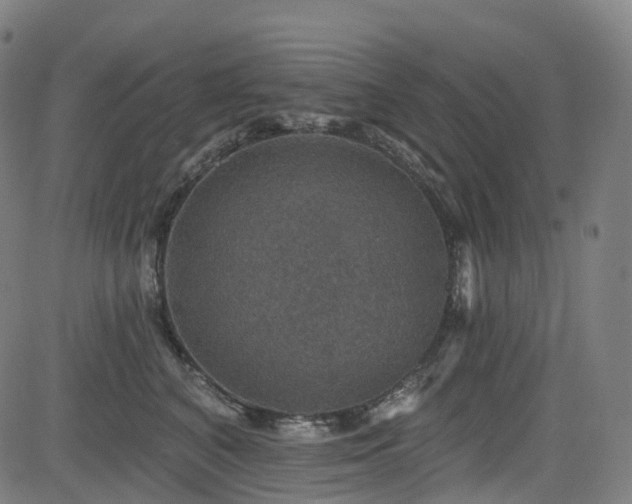 X0000085260616200703091325