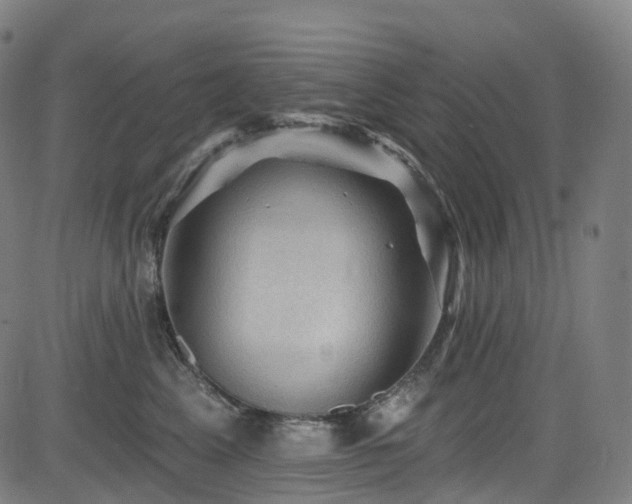 X0000085260617200703091325