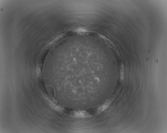 X0000085260618200703091325