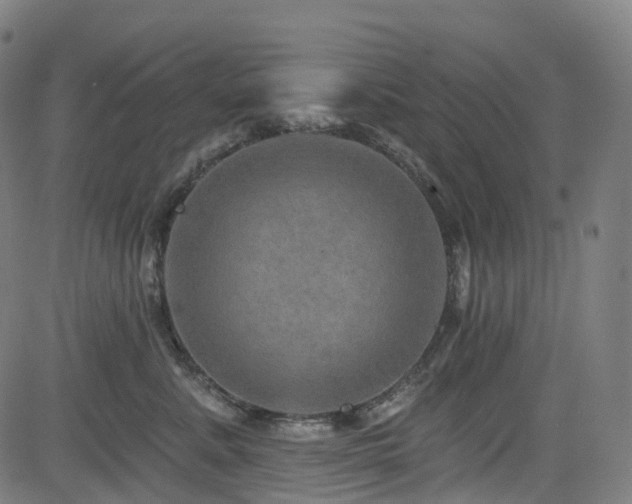 X0000085260619200703091325