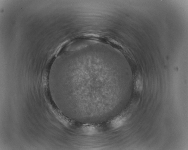 X0000085260620200703091325