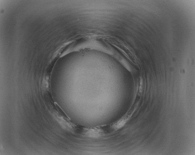 X0000085260621200703091325