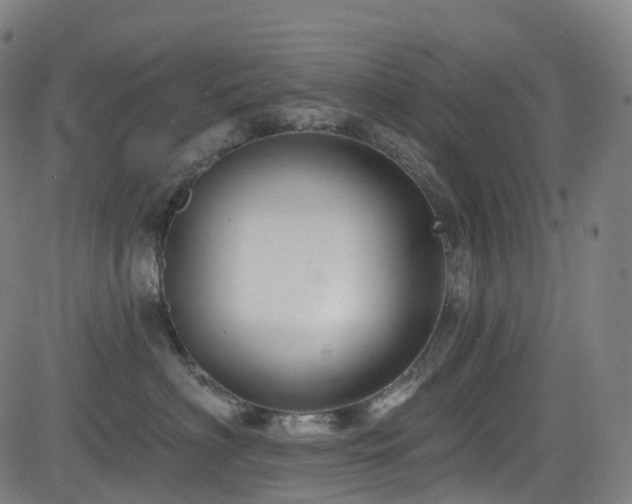 X0000085260622200703091325