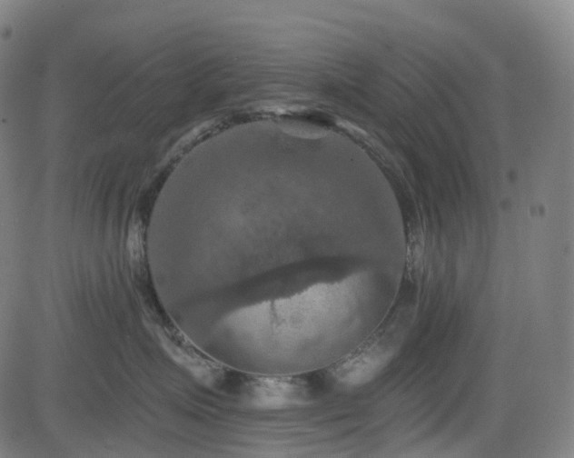 X0000085260623200703091325