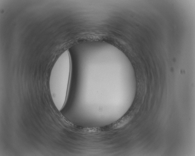 X0000085260624200703091325