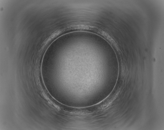 X0000085260625200703091324