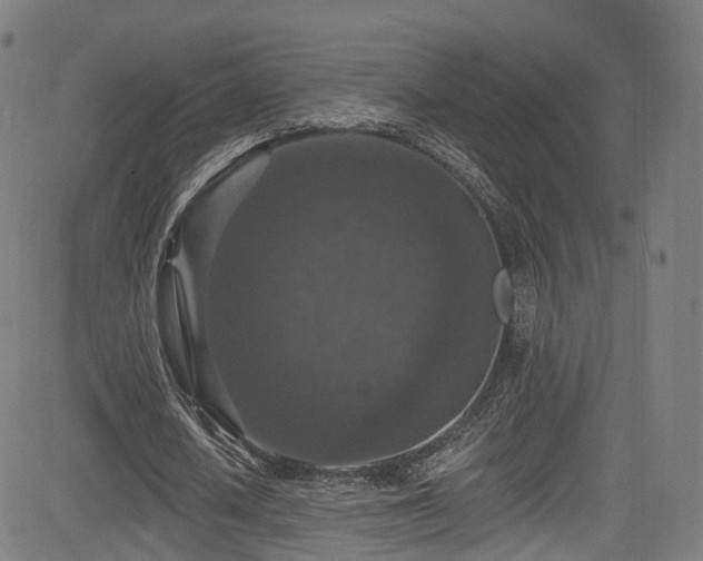 X0000085260626200703091324