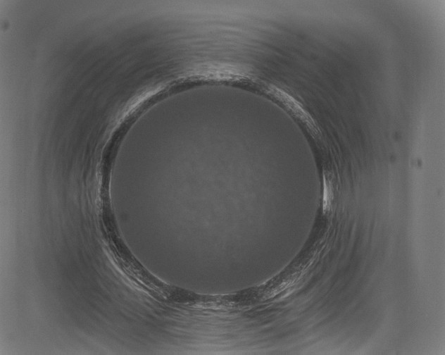 X0000085260627200703091324