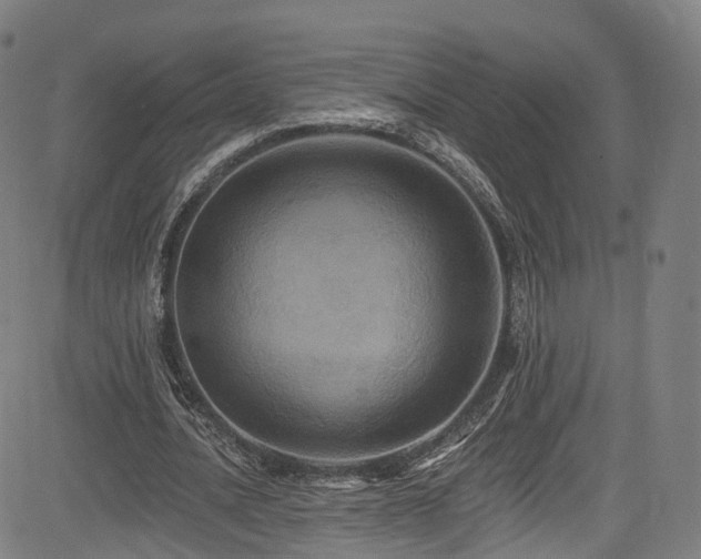 X0000085260628200703091324