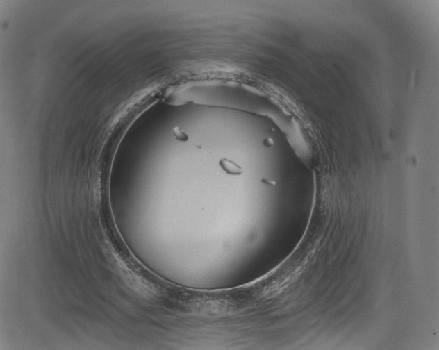 X0000085260629200703091324