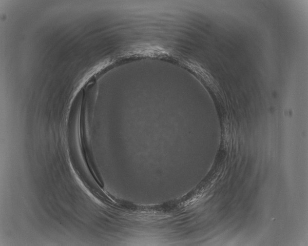 X0000085260630200703091324