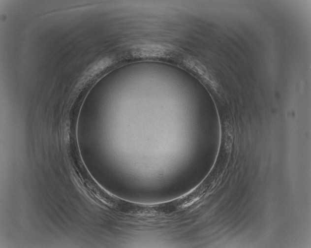 X0000085260631200703091324