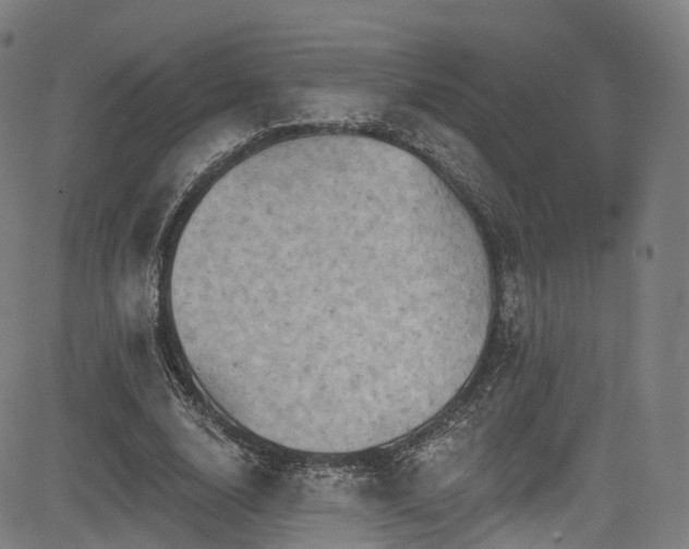 X0000085260632200703091324