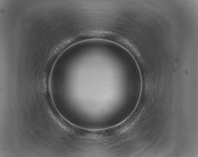 X0000085260633200703091324