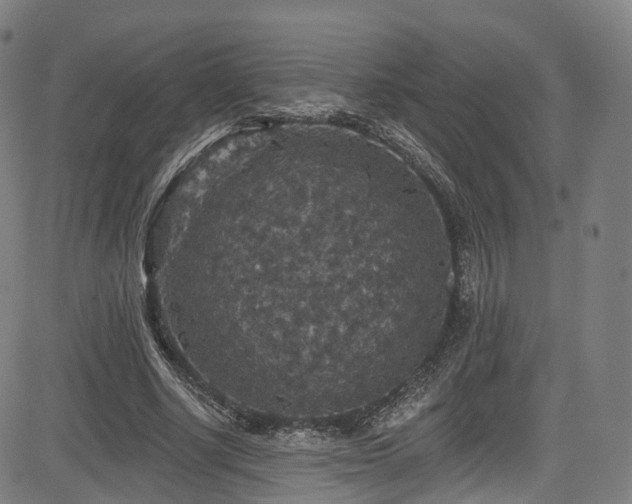 X0000085260634200703091324