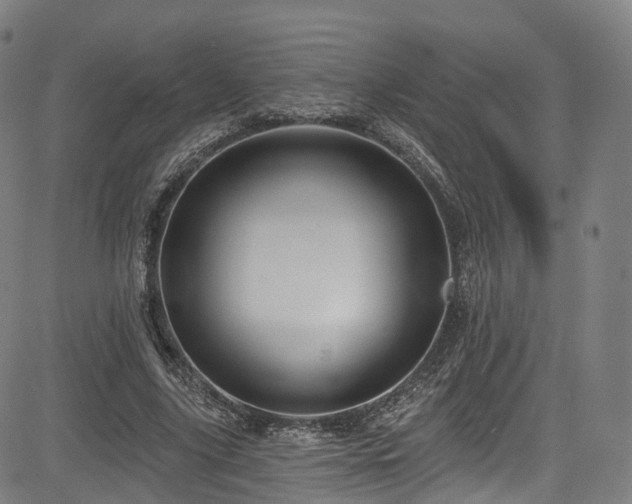 X0000085260635200703091324