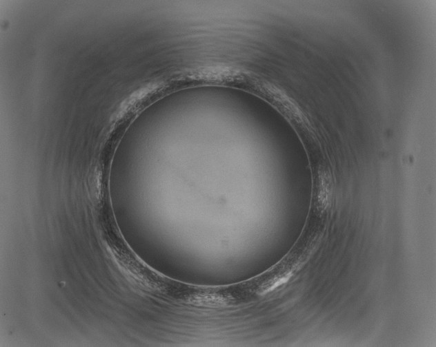 X0000085260636200703091324