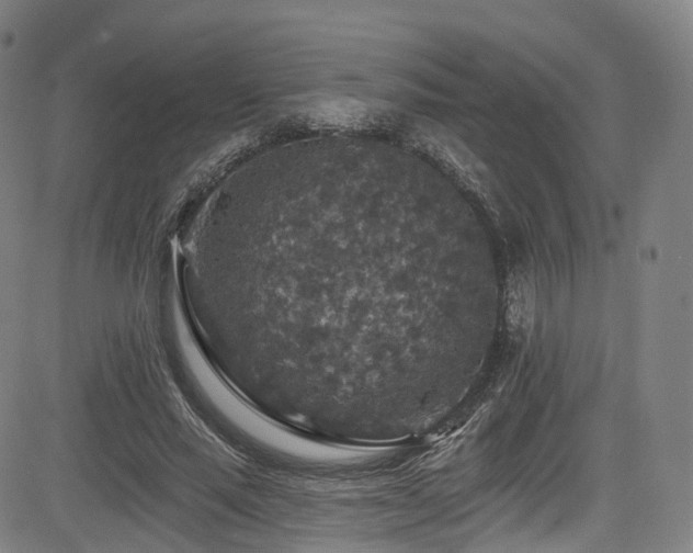 X0000085260637200703091324