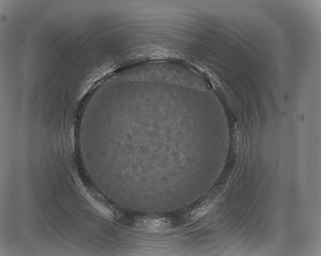 X0000085260638200703091324