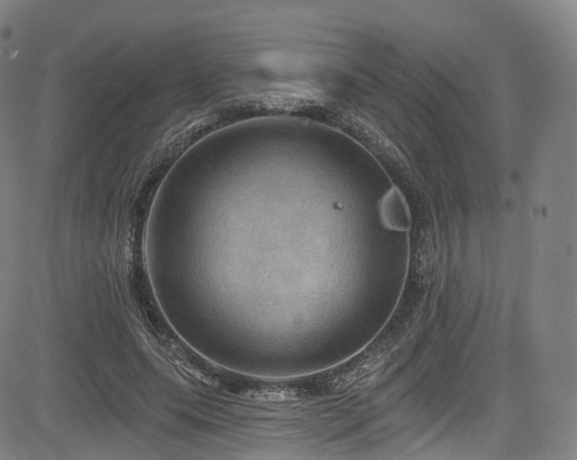 X0000085260639200703091325