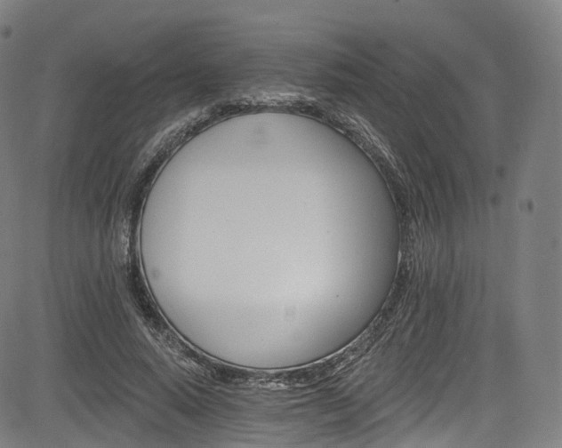 X0000085260640200703091325