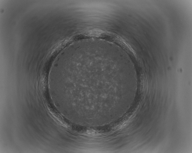 X0000085260641200703091325