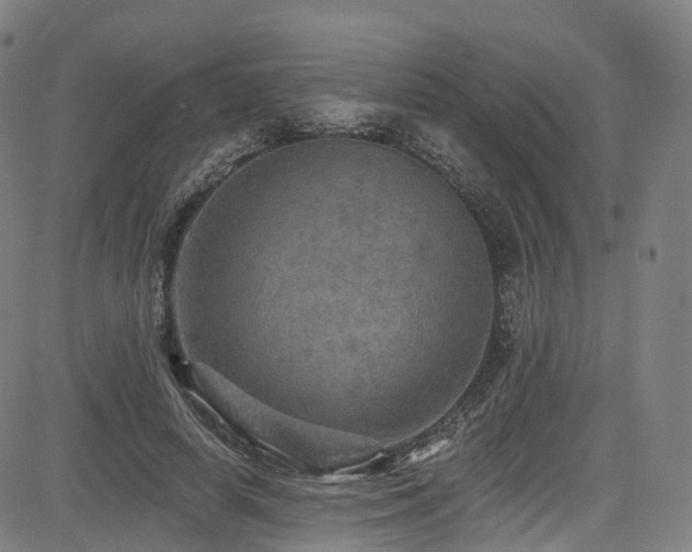 X0000085260642200703091325