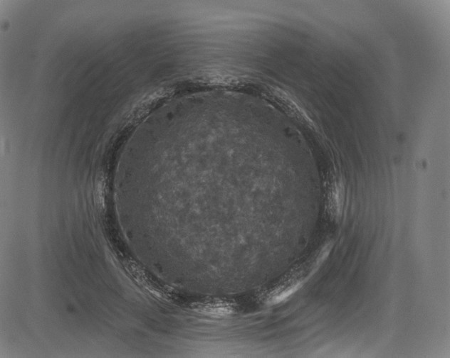 X0000085260643200703091325