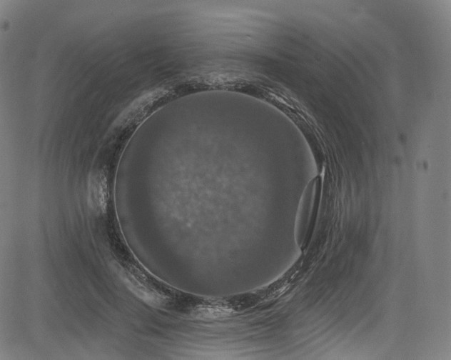 X0000085260644200703091325