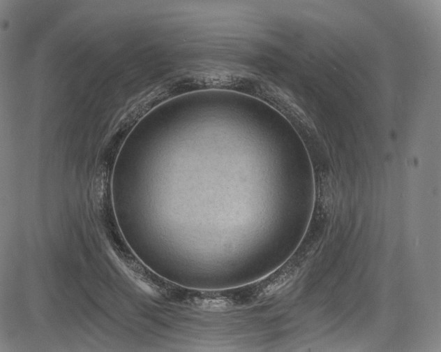 X0000085260645200703091325