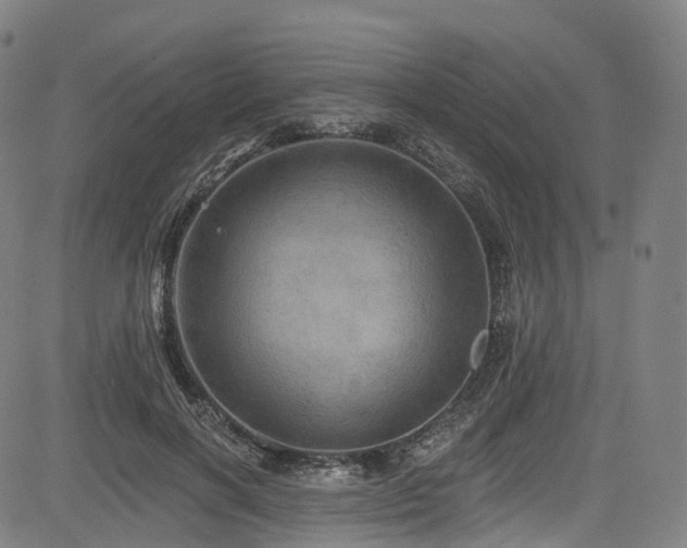 X0000085260646200703091325