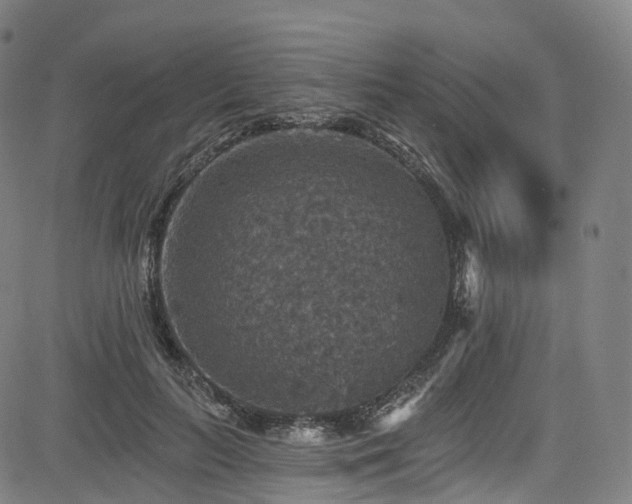 X0000085260647200703091325