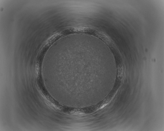 X0000085260648200703091325