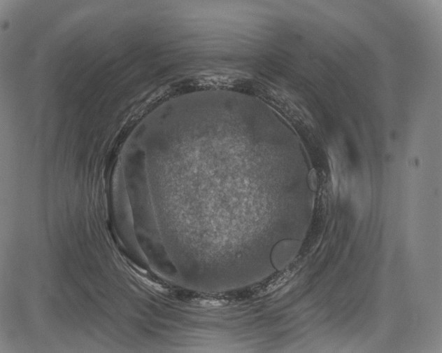 X0000085260649200703091325