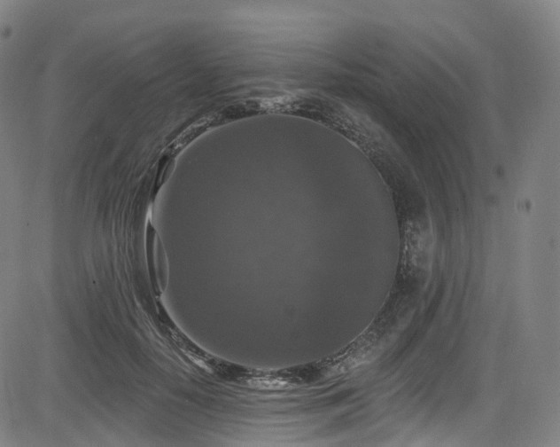 X0000085260650200703091325