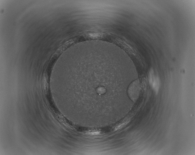 X0000085260651200703091325