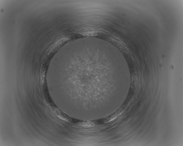 X0000085260652200703091325