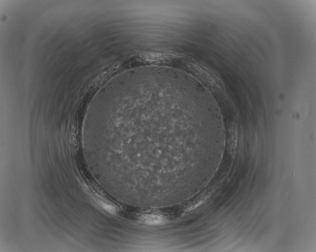 X0000085260653200703091325