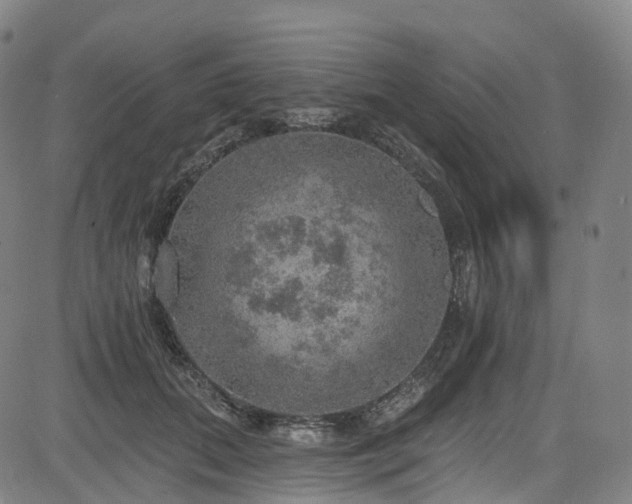 X0000085260655200703091325