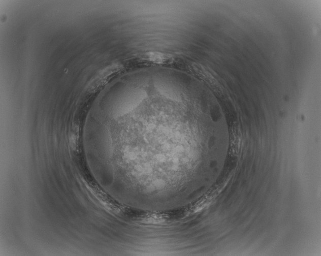 X0000085260656200703091325