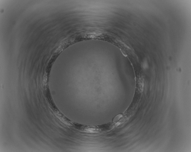 X0000085260657200703091325