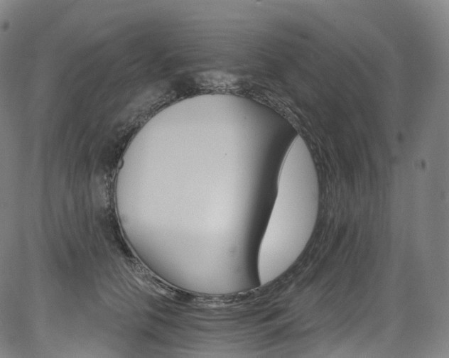 X0000085260658200703091325