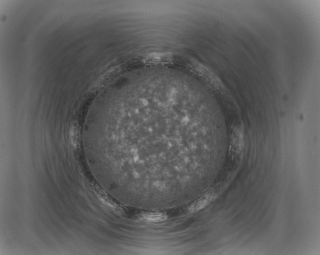 X0000085260659200703091325