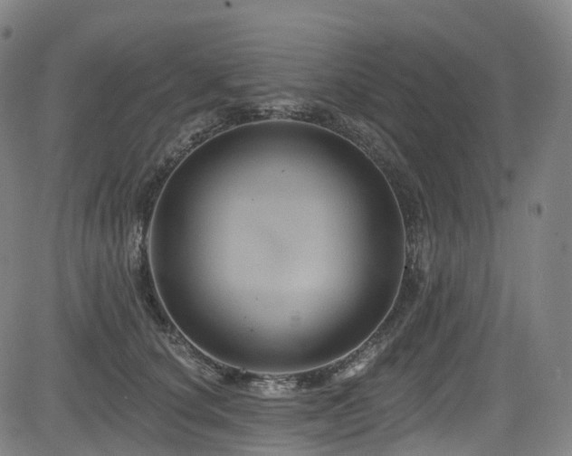 X0000085260660200703091325