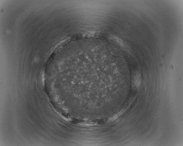 X0000085260661200703091325