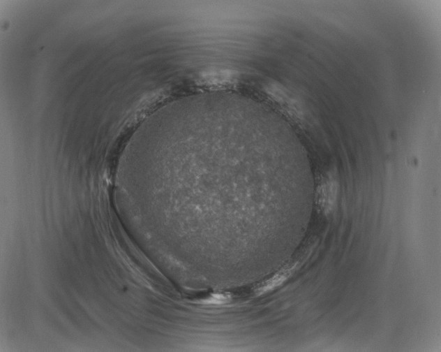 X0000085260662200703091325