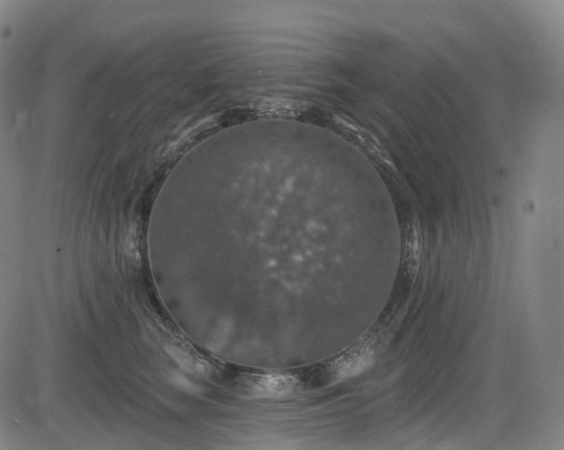 X0000085260663200703091325